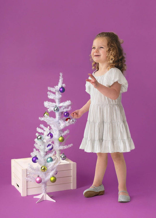 Sparkle and Spin Silver Dress