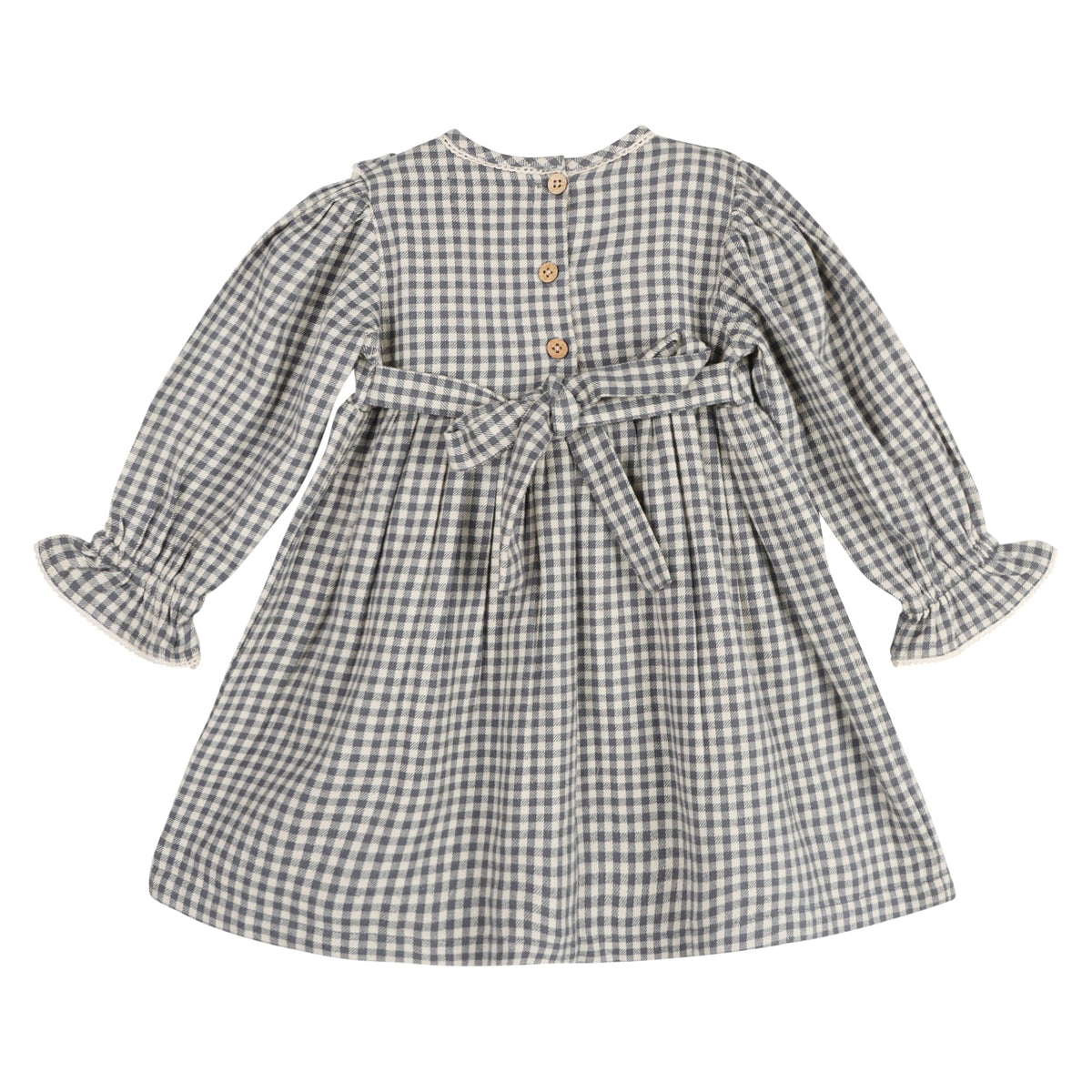 Blue Harmony Gingham Dress